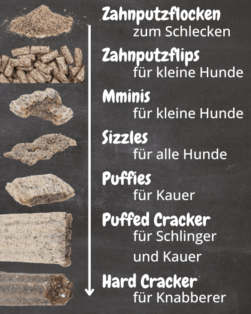 QCHEFS - Zahnputzflips 35g