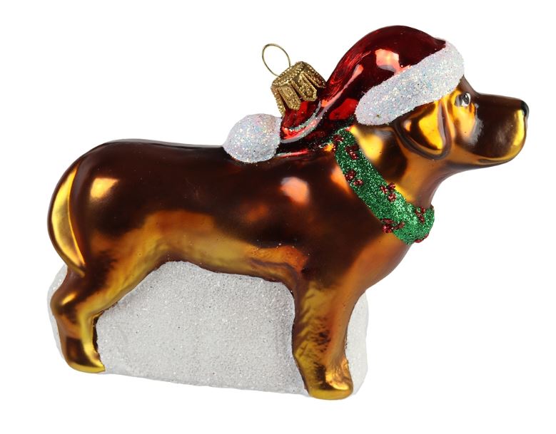 Deko-Weihnachtsanhänger "Schoko/gold Labrador mit Weihnachtsmütze" Glas 10x12x4cm