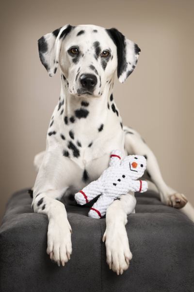 Laboni - Baumwollspielzeug "Shawn der Schneemann"
