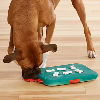 Nina Ottosson - Intelligenzspielzeug "Dog Casino"