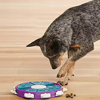 Nina Ottosson - Intelligenzspielzeug "Dog Twister"