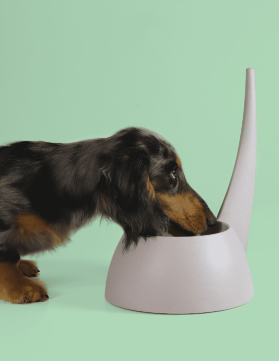 United Pets - Tail "grau" 750ml