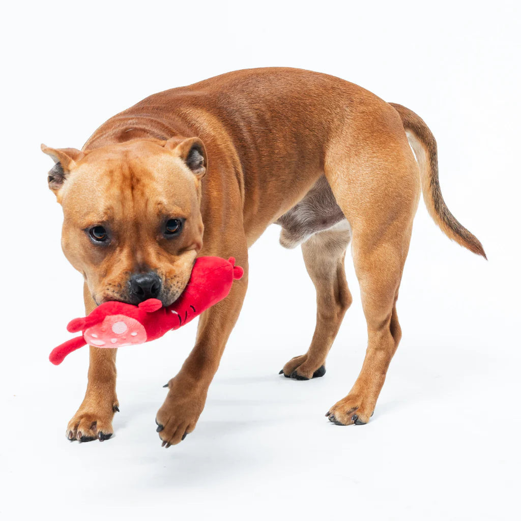 Fuzzyard - Peper Toni