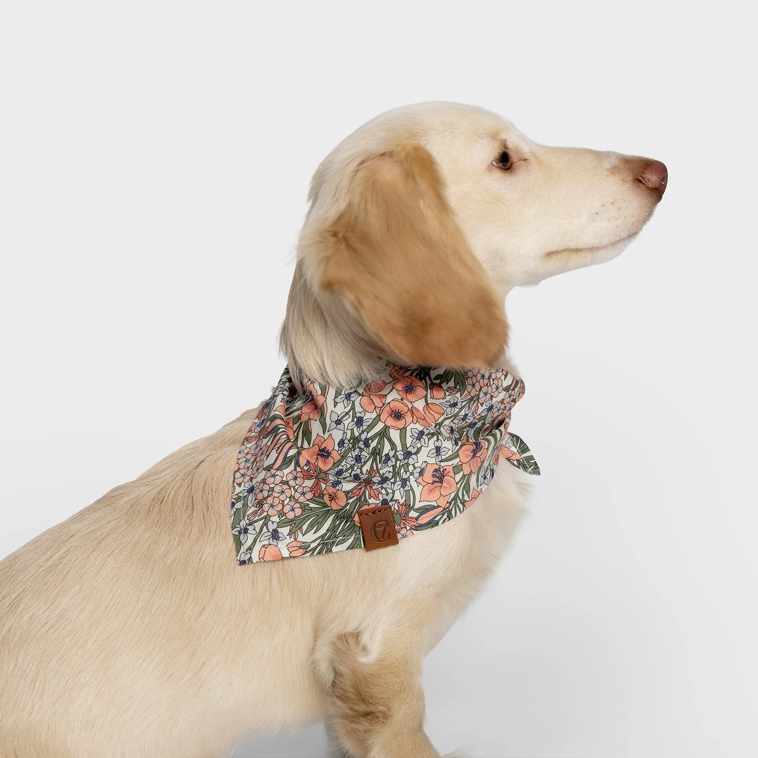 Cloud7 - Hundehalstuch "Little Blossoms"