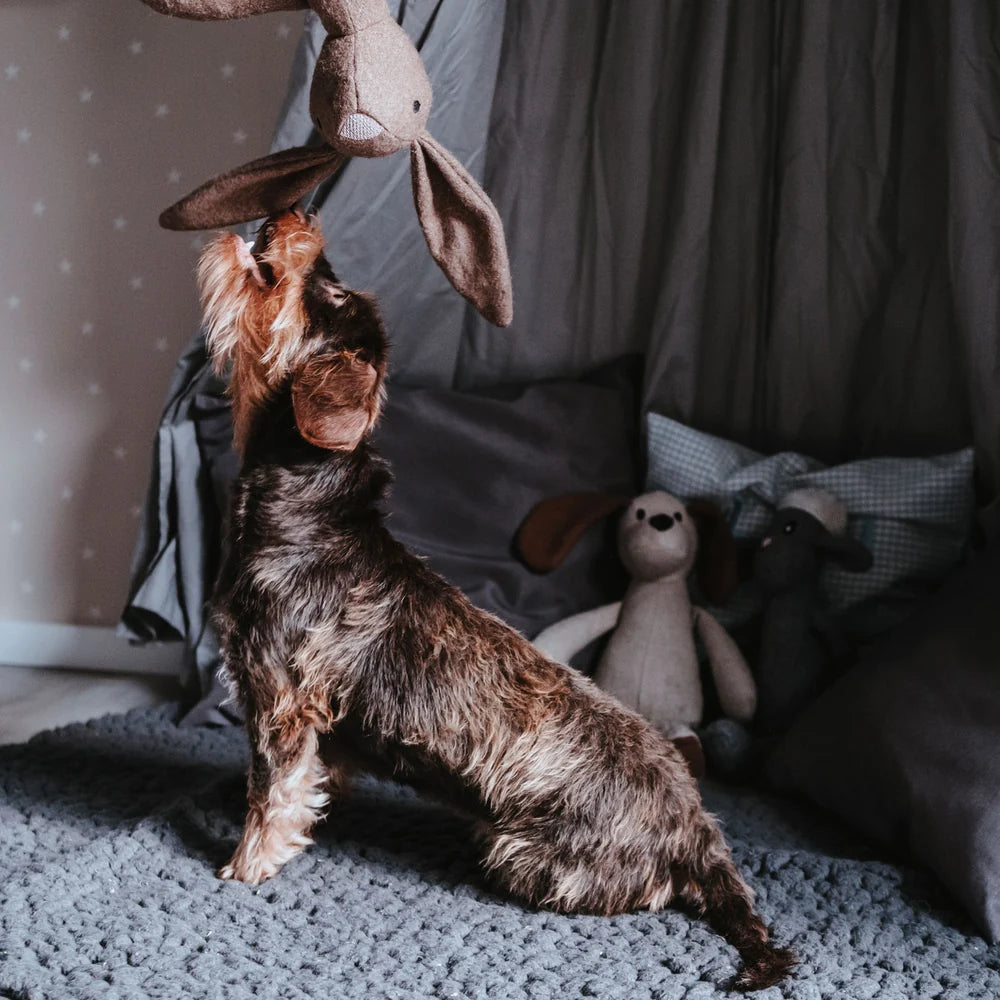 Hunter - Marle "Hase"