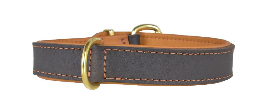 Halsband - Fettleder "Gürtelschnalle" messing 30mm breit