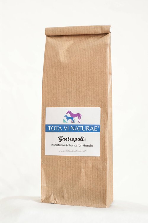 TOTA VI NATURAE - Kräutermischung Magen & Darm "Gastropolis" 75g