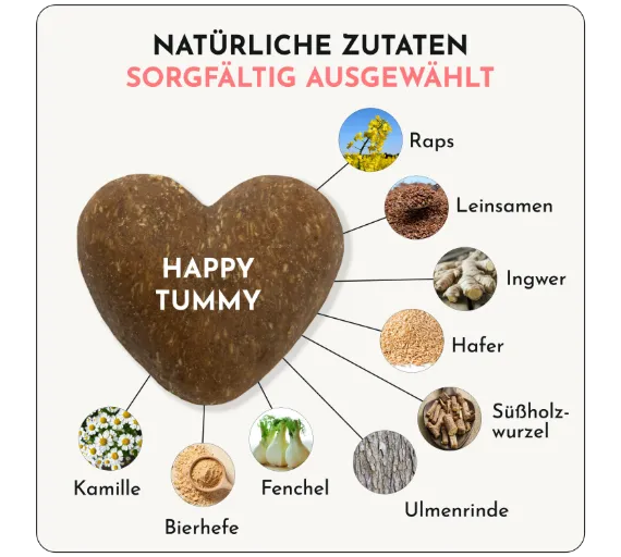 DoggyLove - "Happy Tummy" 330g