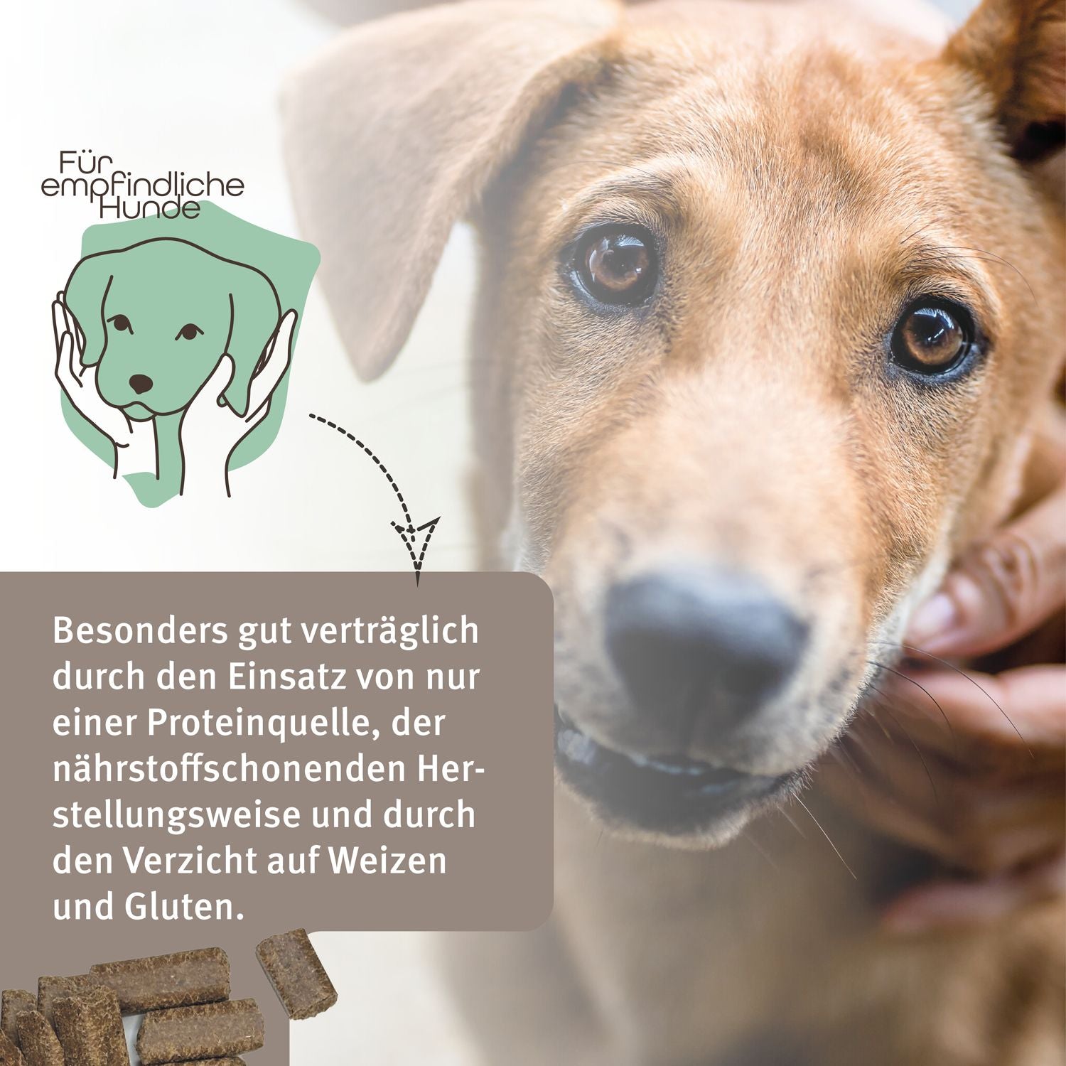 Markus Mühle - Kaltgepresstes Trockenfutter "Freiland Ziege" 5kg