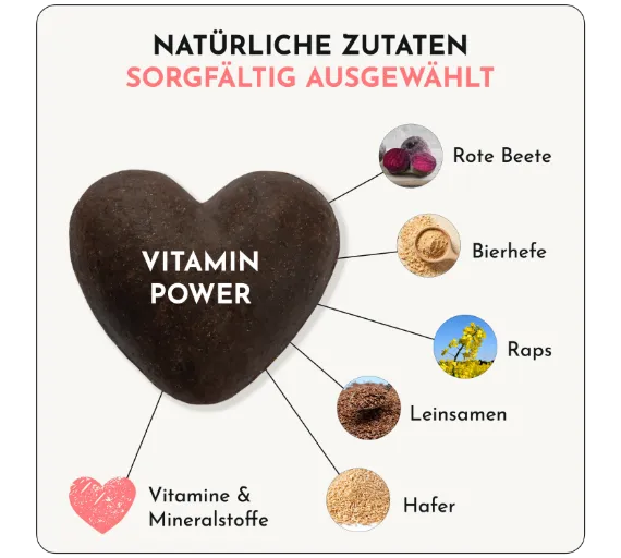 DoggyLove - "Vitamin Power" 330g