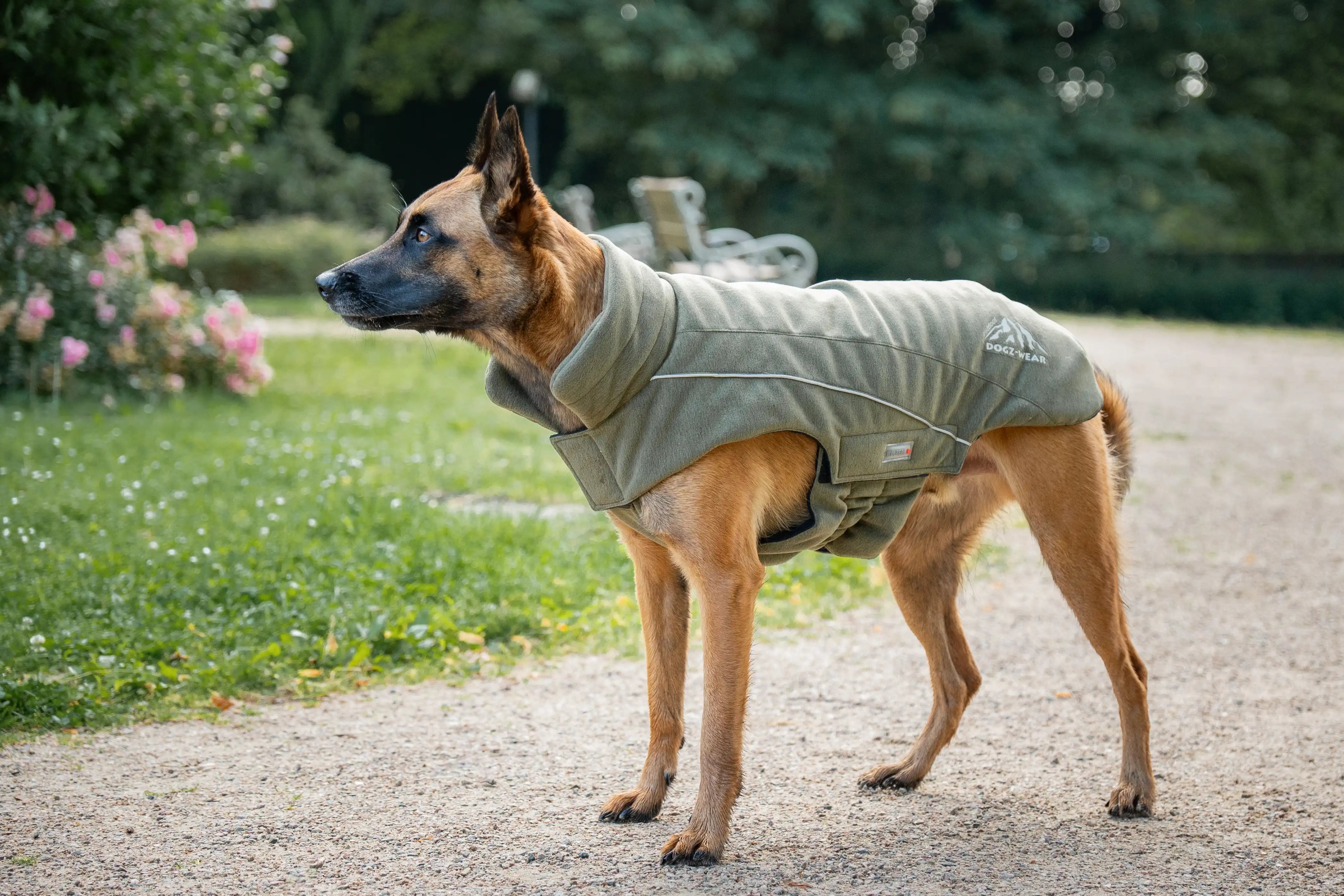 Wolters - Fleecejacke "Dogz-Wear" in olive