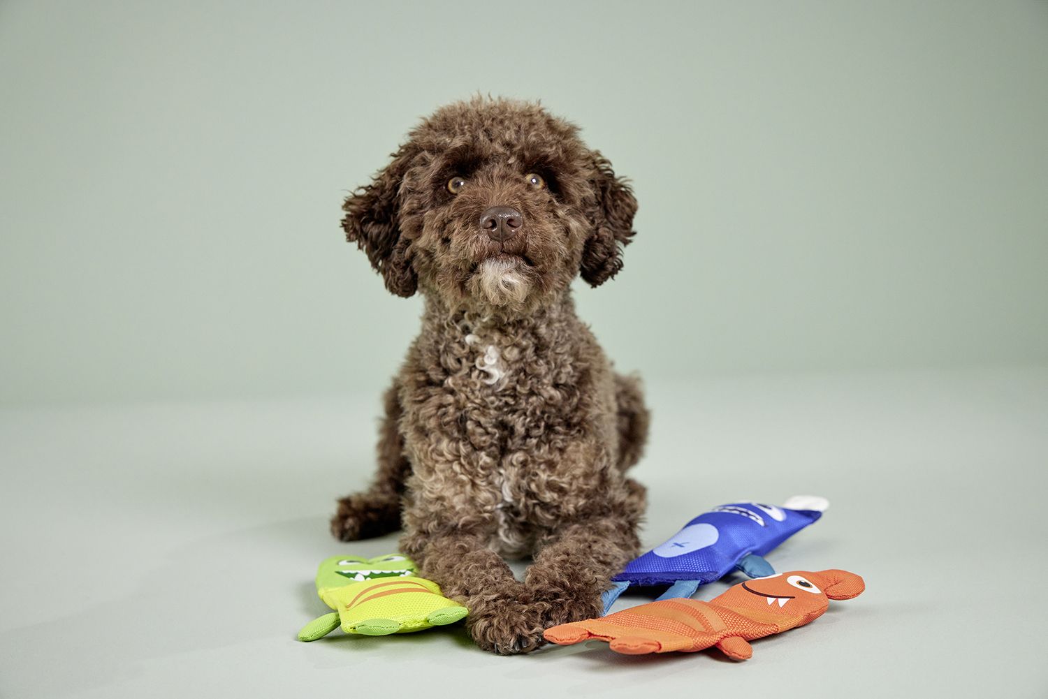 Wolters - Funny Dummy "lila 31cm"