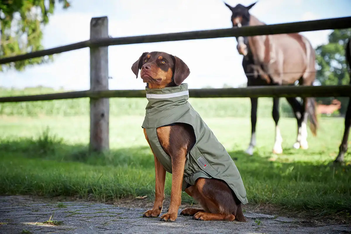 Wolters - Outdoorjacke "Modern Classic" 42er in olive