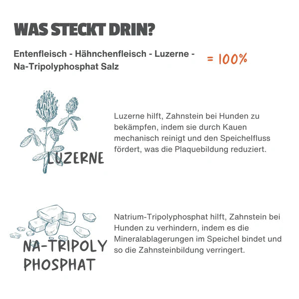 Escapure - Dental Sticks "Ente" 150g