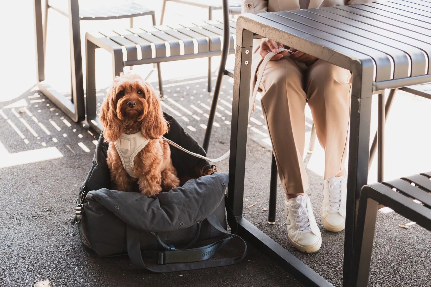 Fuzzyard - Hundetasche und Autositz in grau