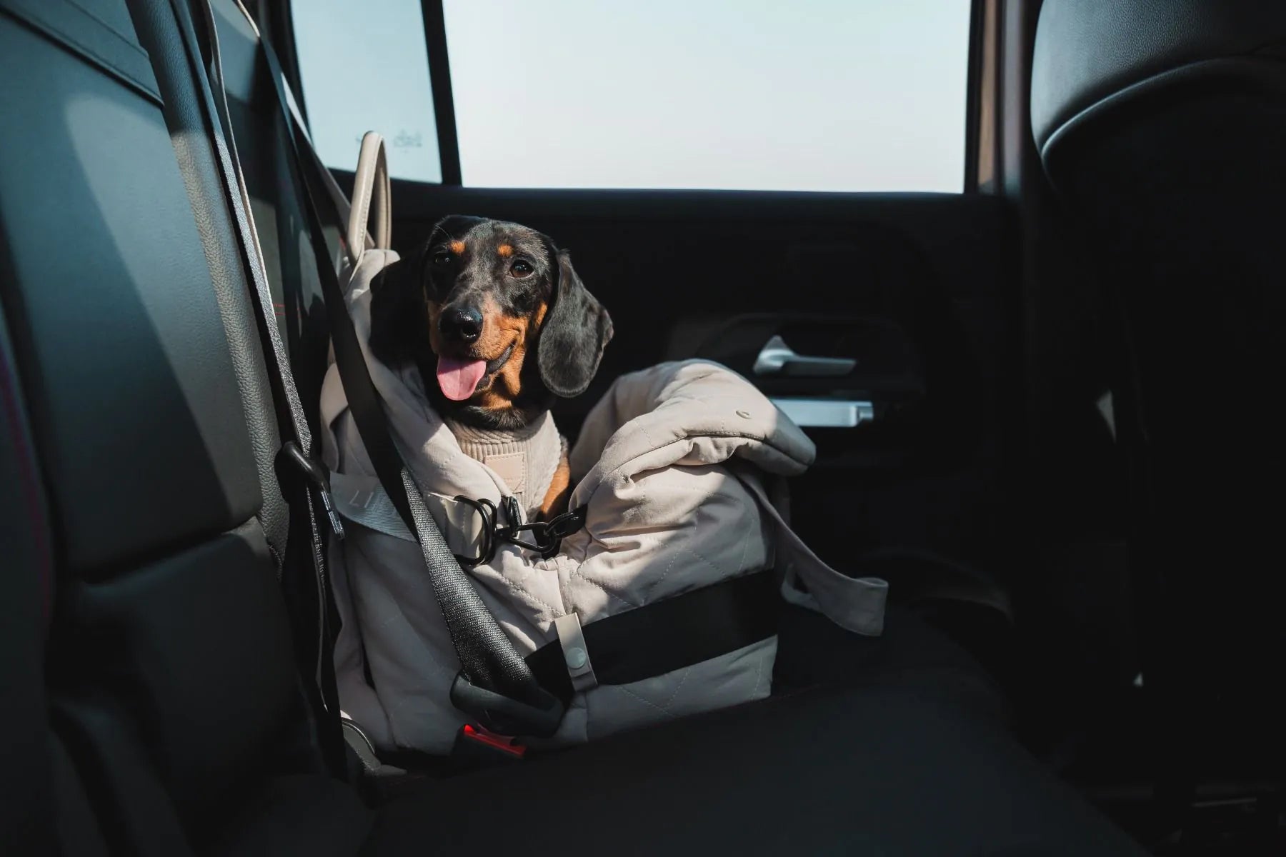 Fuzzyard - Hundetasche und Autositz in grau