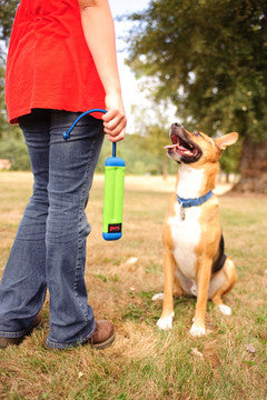 Chuckit! - Amphibious "Bumper" S