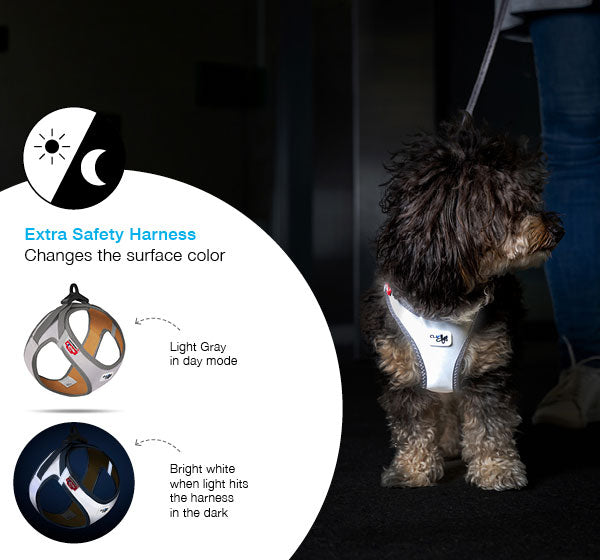 Curli - Vest Harness "Glow"