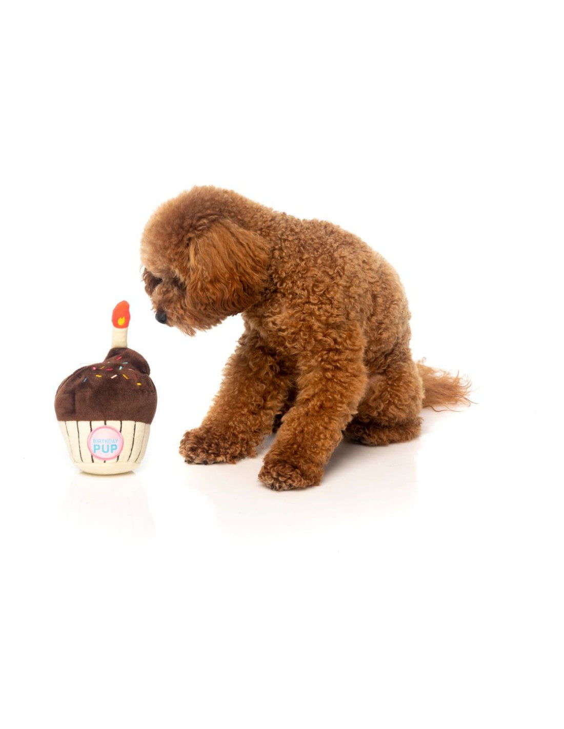 Fuzzyard - Birthday Cupcake