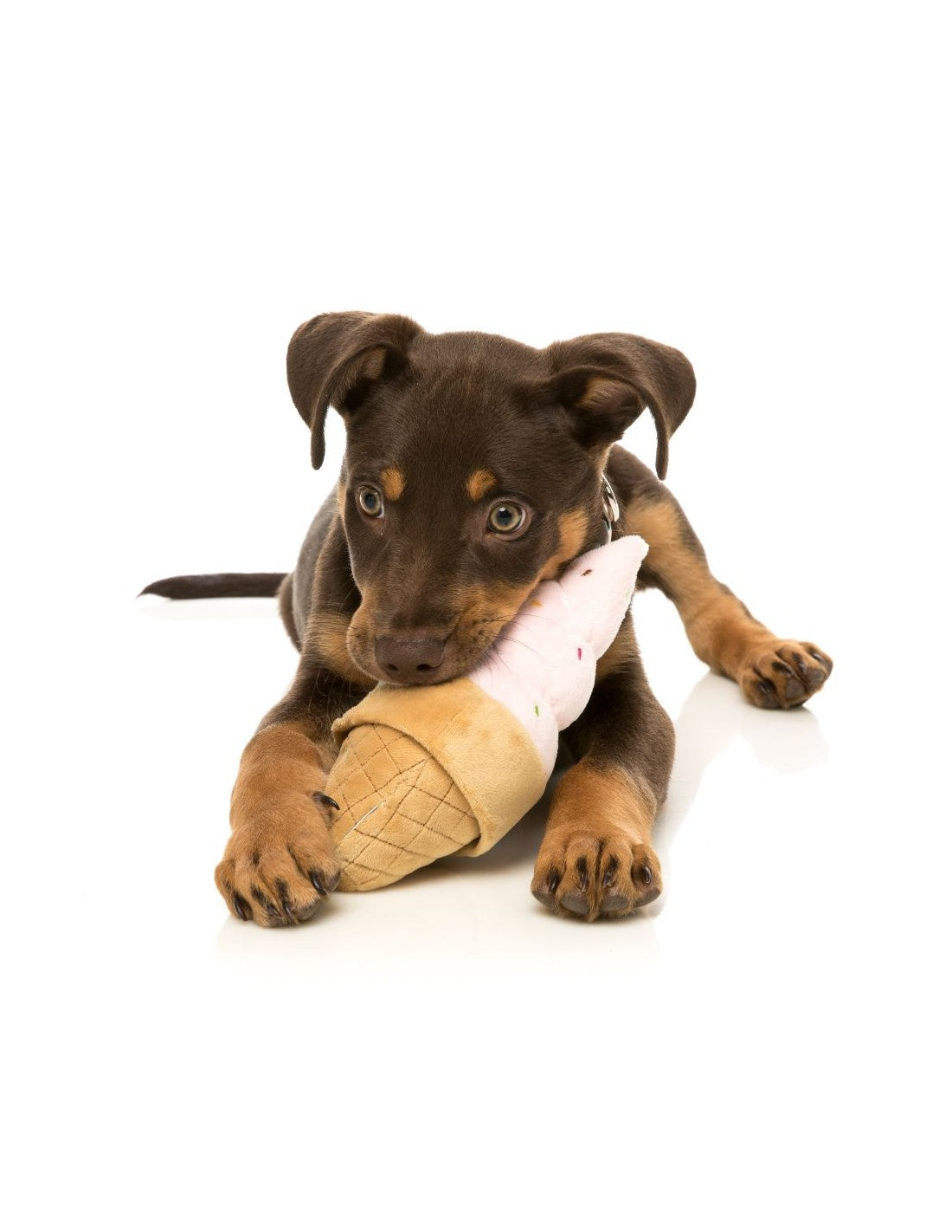 Fuzzyard - Ice Cream