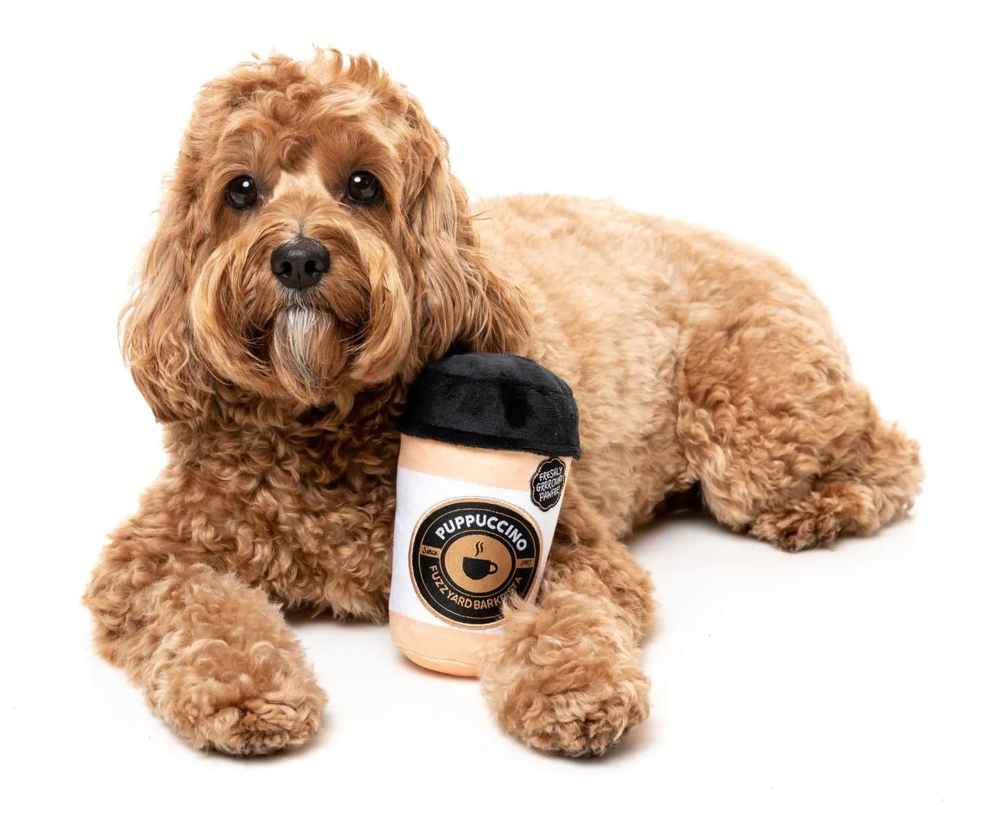 Fuzzyard - Barkrista Puppuccino