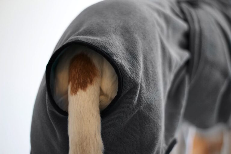 MONKEYS THEATRE - "Hundebademantel in grau" Größe 5+