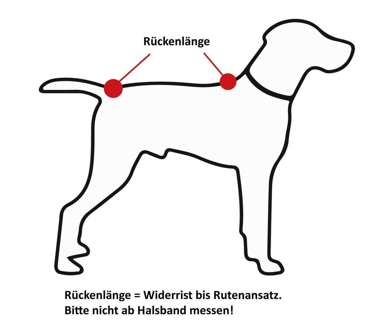 MONKEYS THEATRE - "Hundebademantel in grau" Größe 2+