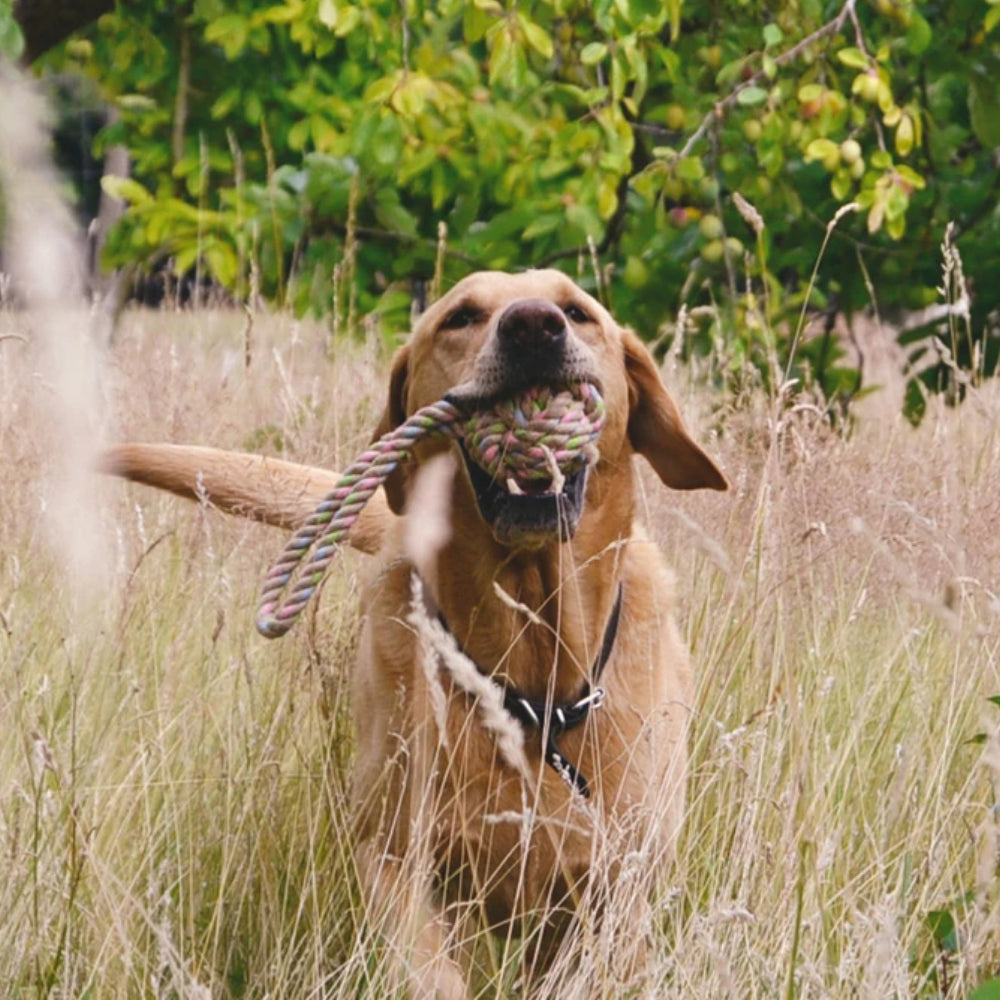 Beco Pet - Hemp Ball with Loop