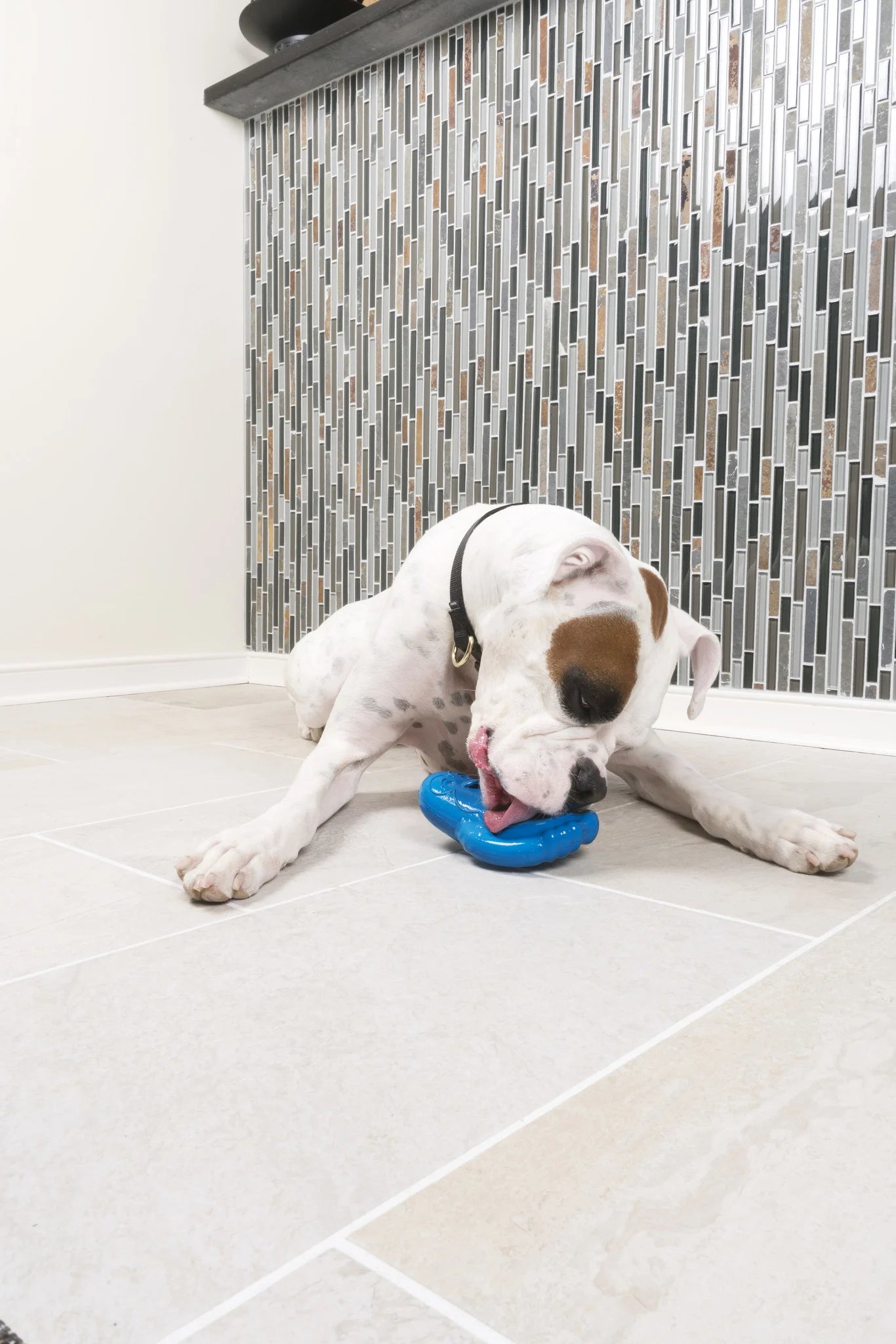 Petsafe - Gefrierspielzeug "Pinguin" 10cm