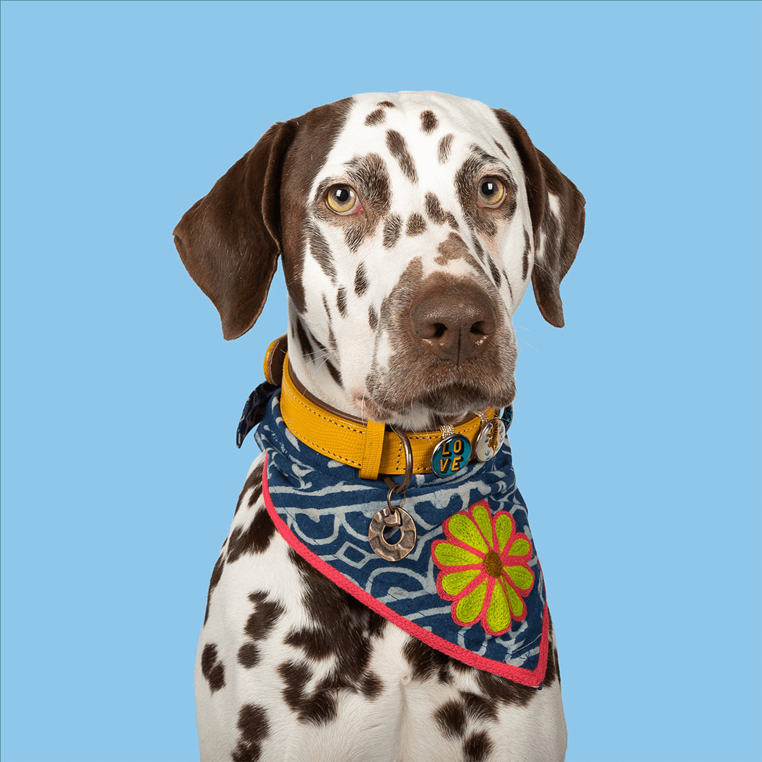 DWAM - Bandana "Maya Blue" in XL/XXL