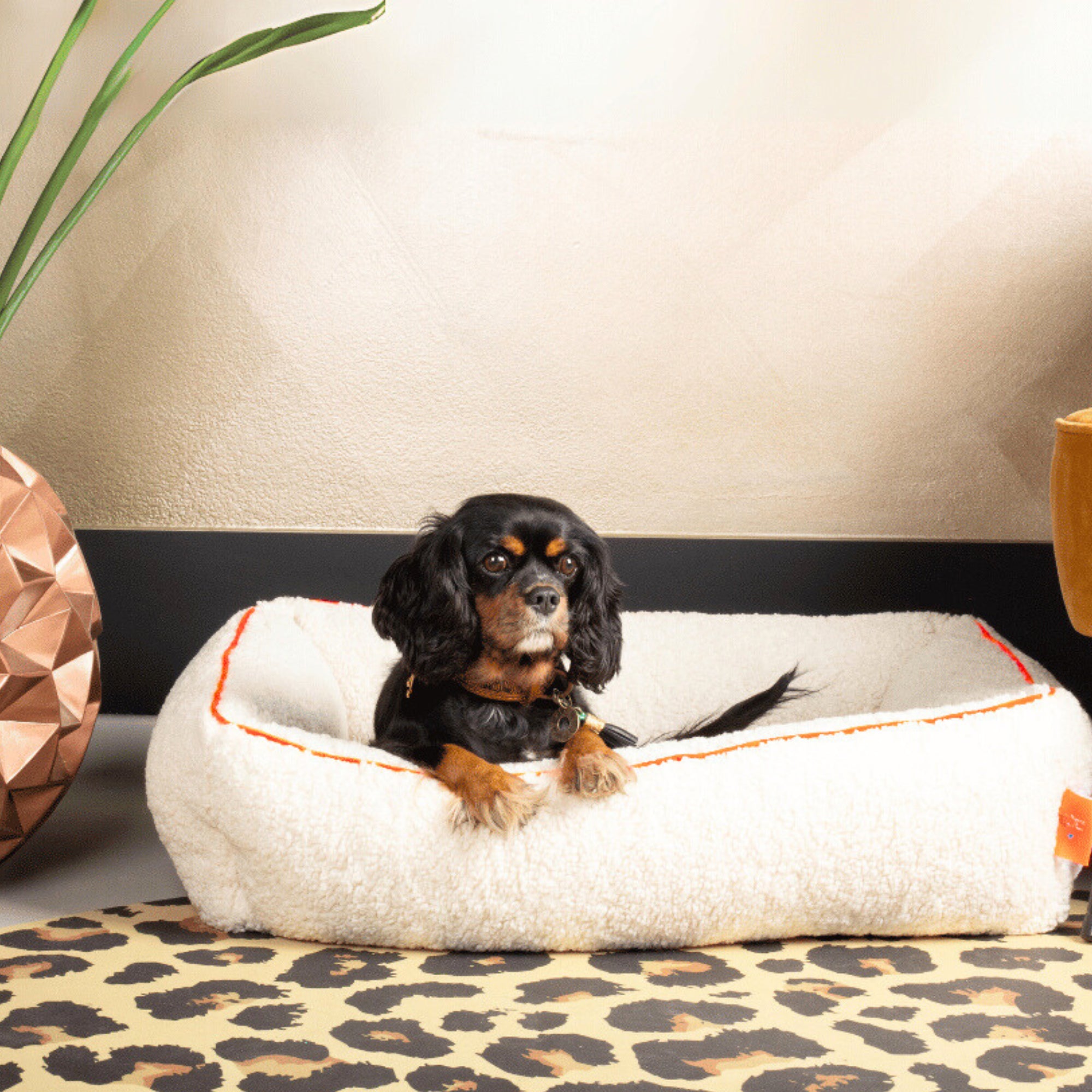 DWAM - Bett "Ibiza Dream" M