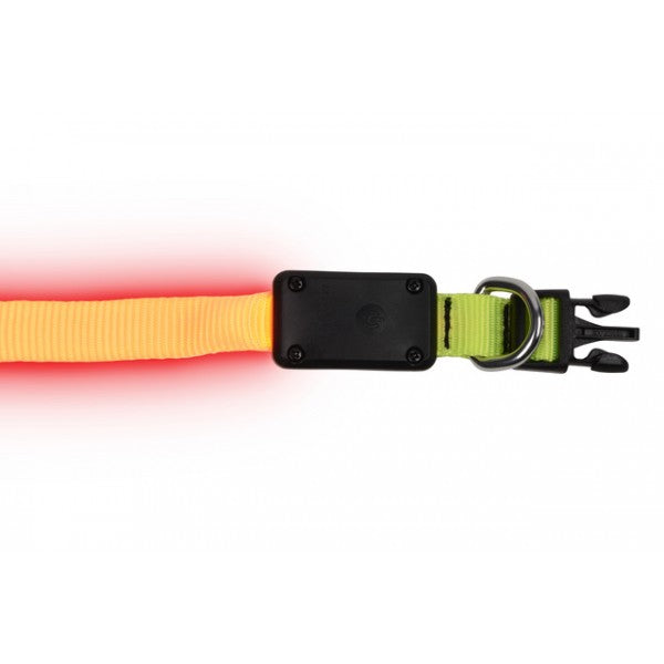 NiteDawg - LED Light-Up Hundehalsband für kleinere Hunde "gelb" Größe XS