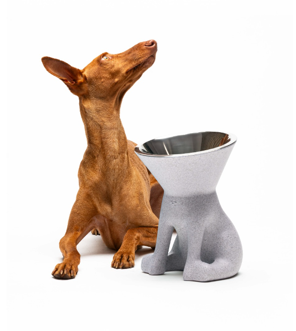 United Pets - Elizabeth "granite"