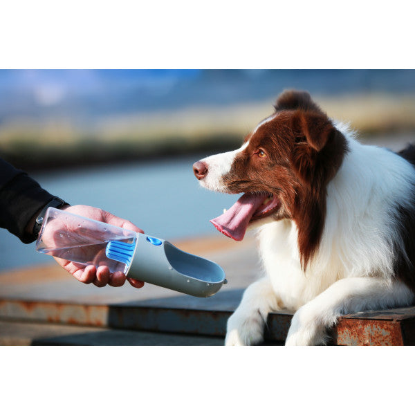 PETKIT - Reiseflasche "Filter" in grün 400ml