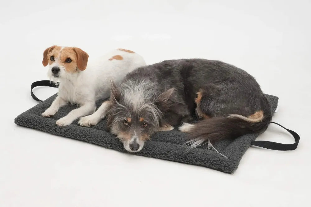 DOGS in the CITY - Reisematte "Matti" graphit in S