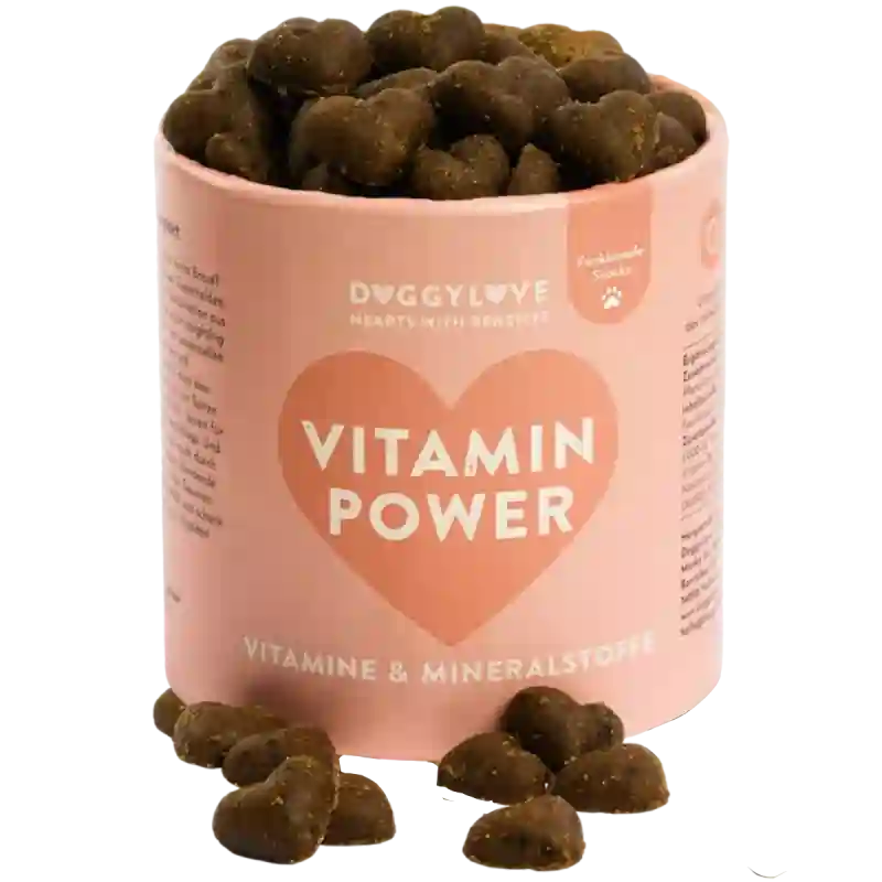 DoggyLove - "Vitamin Power" 330g