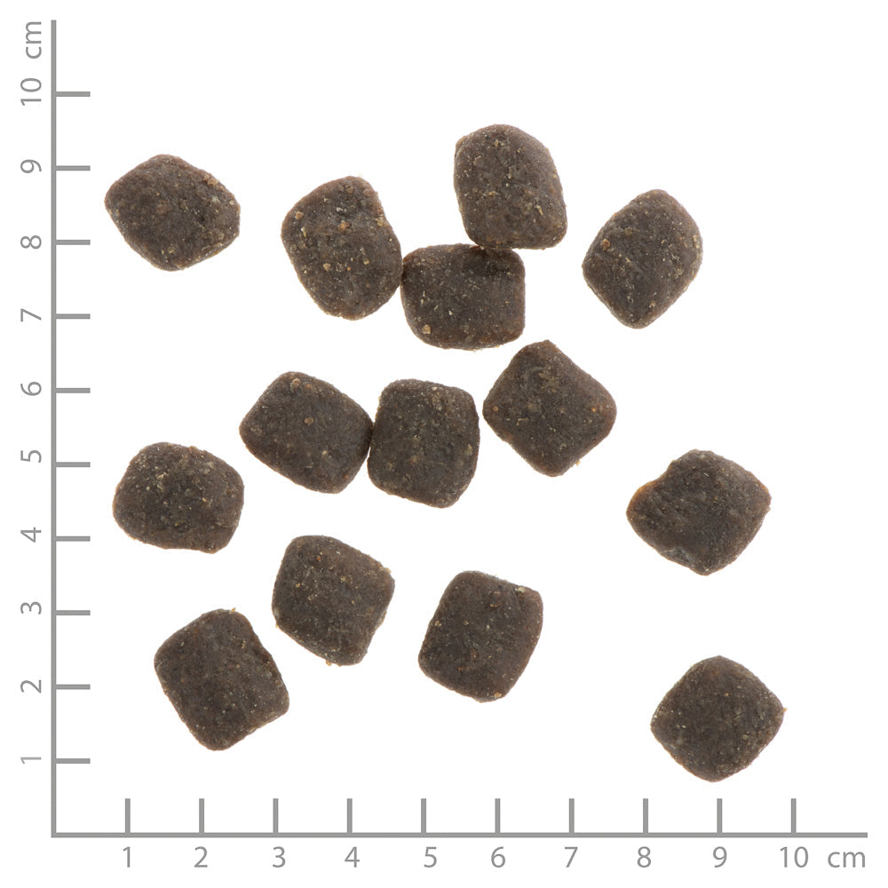 Wildes Land - Soft "Rind mit Reis & Wildkräutern" 5kg