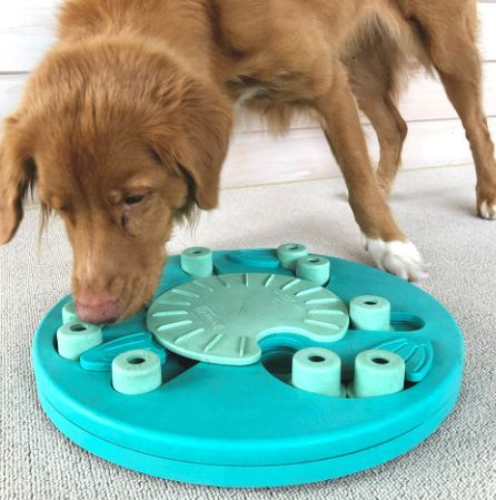 Nina Ottosson - Intelligenzspielzeug "Dog Worker"