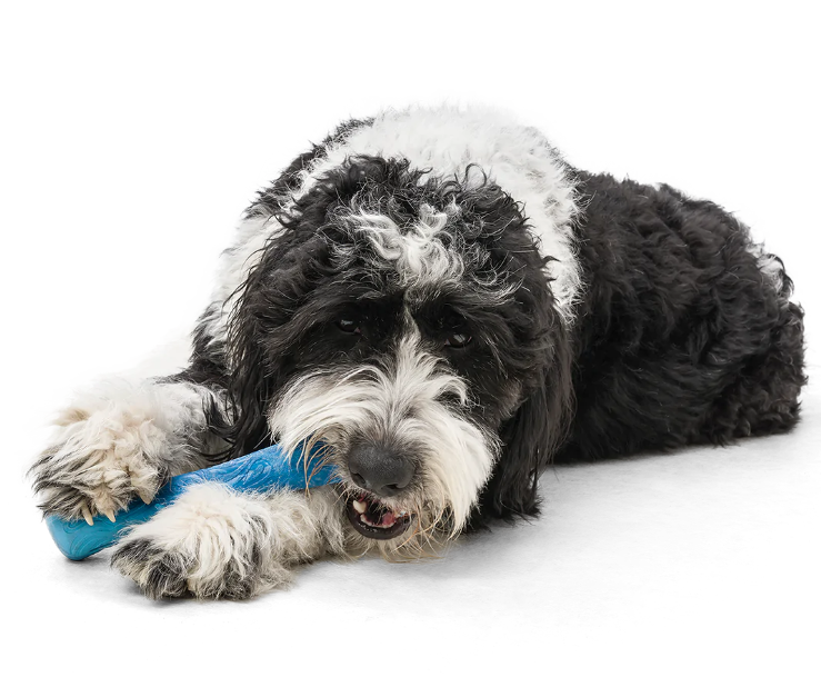 West Paw - "Drifty" S