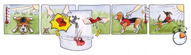 Curli - Vest Air-Mesh "Fuchsia" XL