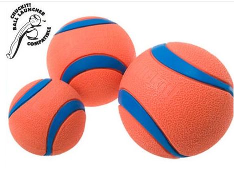 Chuckit! - "Ultra Ball"