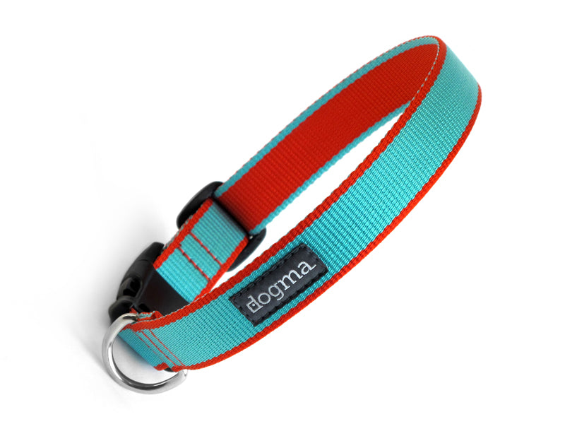 Dogma - Nylonhalsband "Capri" 2,5cm breit