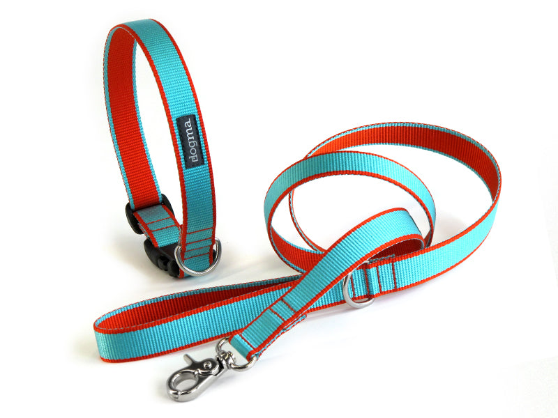 Dogma - Nylonhalsband "Capri" 2,5cm breit