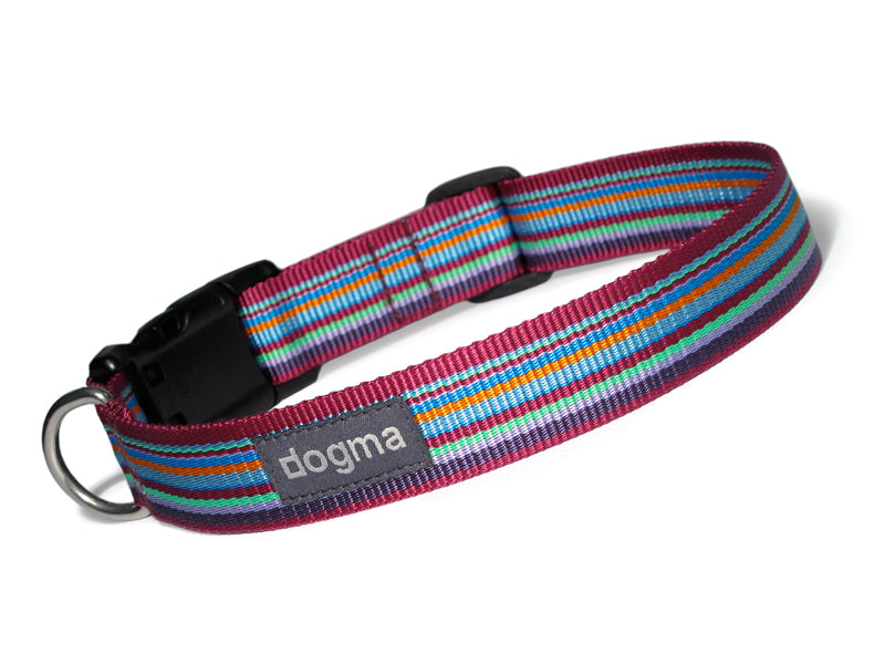Dogma - Nylonhalsband "Stripes" 2,5cm breit