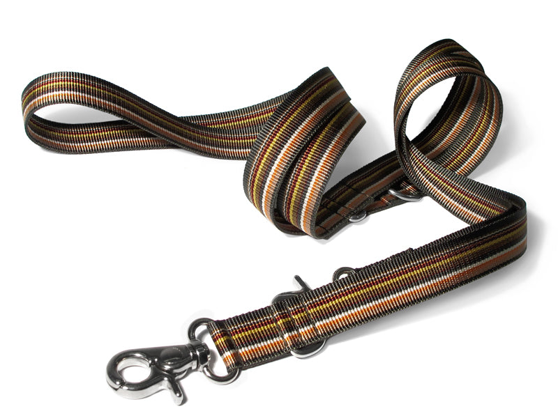 Dogma - Nylonleine "Stripes" 2,5cm breit