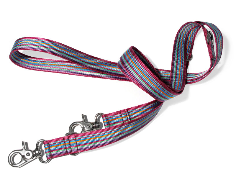Dogma - Nylonleine "Stripes" 2,5cm breit