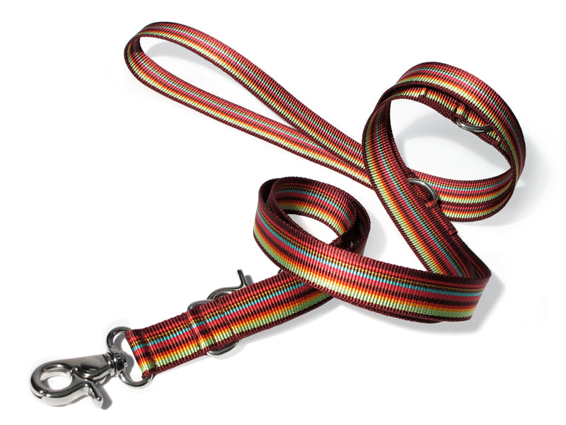 Dogma - Nylonleine "Stripes" 2,5cm breit