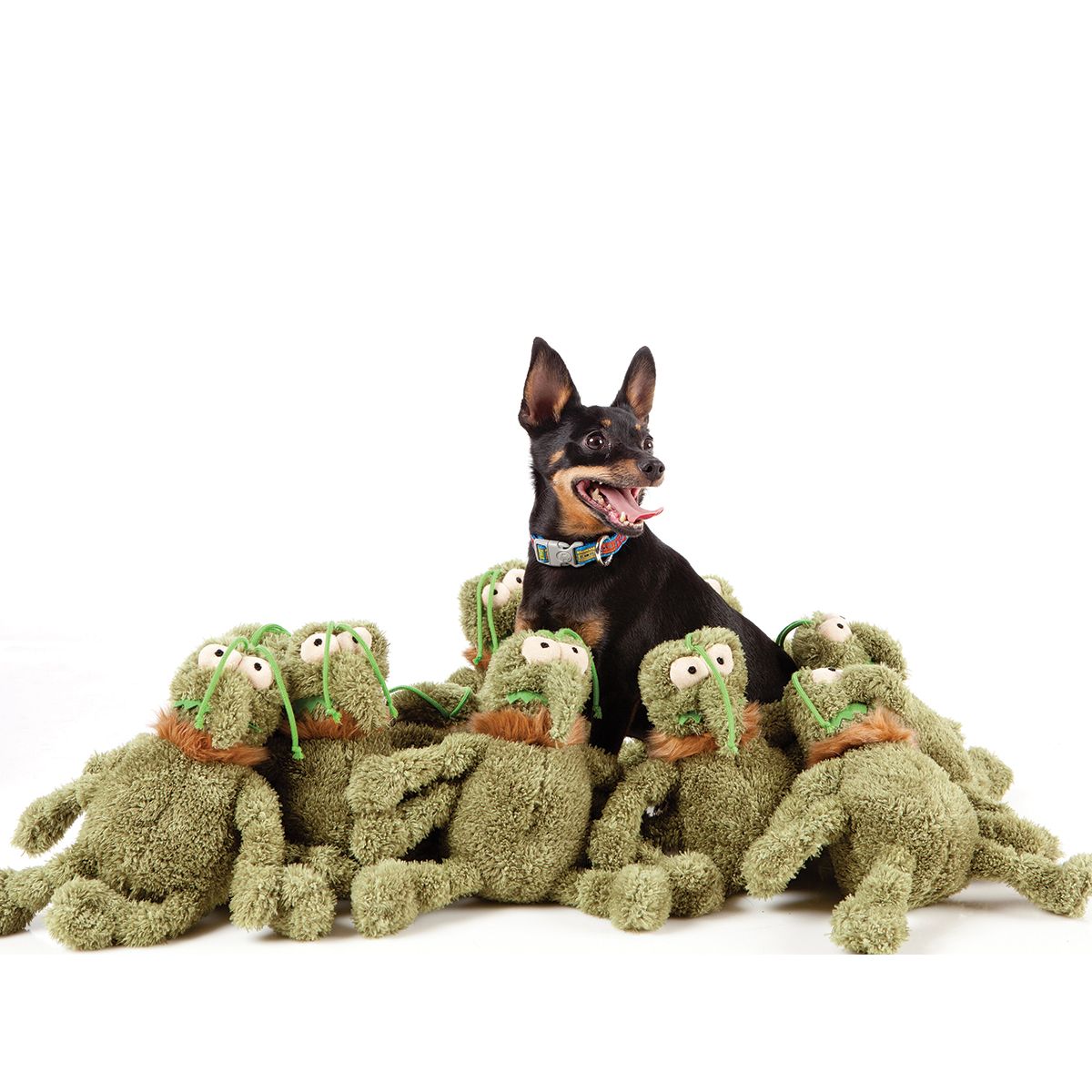 Fuzzyard - Scratchy the Flea S