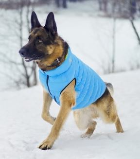 AiryVest Wendejacke "schwarz - blau"