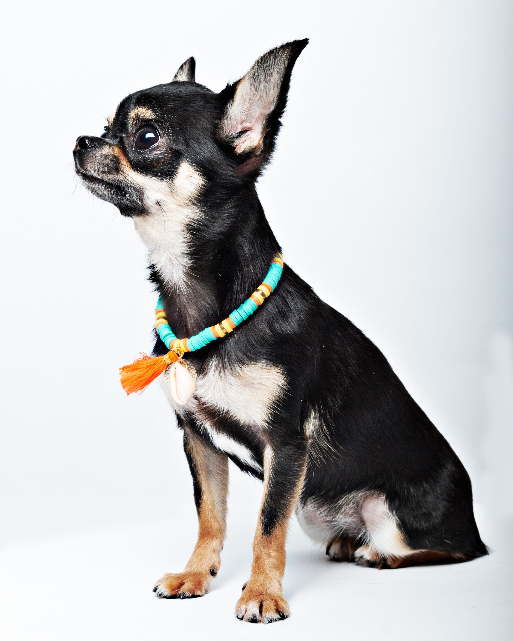 DWAM - Hundekette "Coco Beach"
